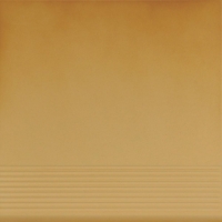 cerrad_new242